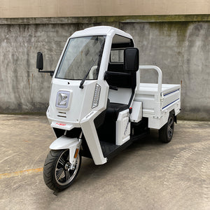 Electric logistic VAN 3000KW, 120km range, 600KG loading capacity; Max.speed 45km/h