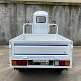 Electric logistic VAN 3000KW, 120km range, 600KG loading capacity; Max.speed 45km/h