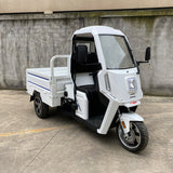 Electric logistic VAN 3000KW, 120km range, 600KG loading capacity; Max.speed 45km/h